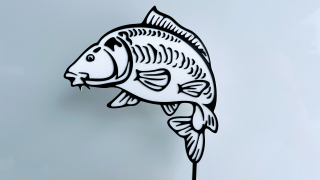 Rybařský zápich - KAPR #2 / CARP